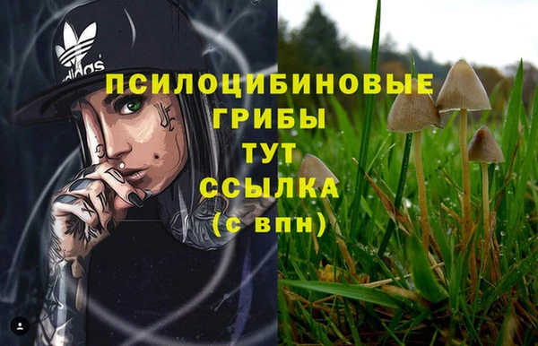 кокаин Алексин