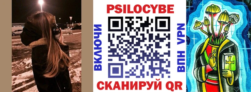 hydra tor  Куса  Псилоцибиновые грибы мицелий  цена  